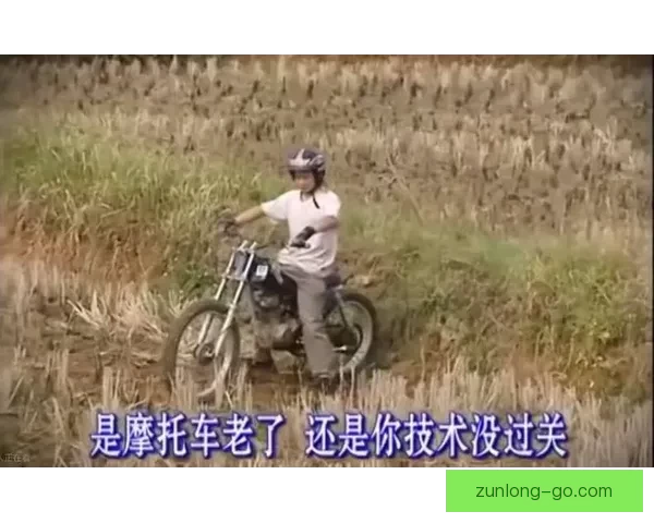 从县城修车工到世界冠军二十年逆袭热血人生传奇故事真实奋斗史诗